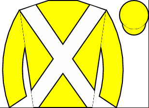 Horse silk
