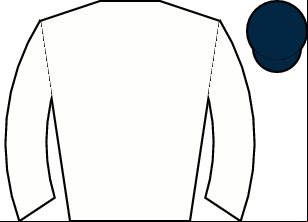 Horse silk