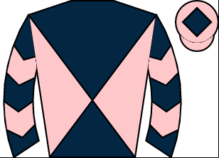 Horse silk