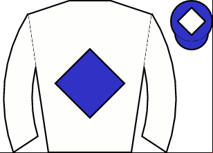 Horse silk