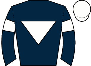 Horse silk