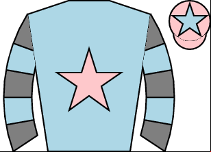 Horse silk