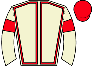 Horse silk
