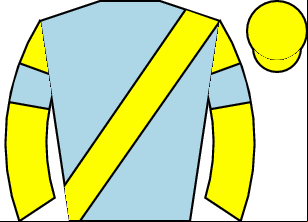 Horse silk