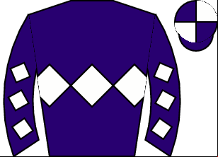 Horse silk