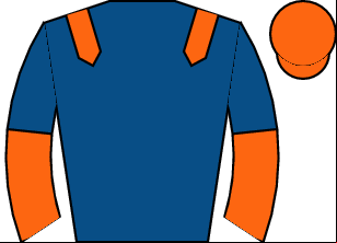 Horse silk