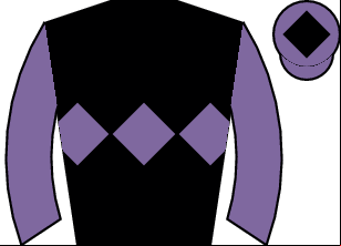 Horse silk