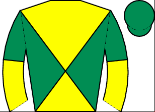 Horse silk