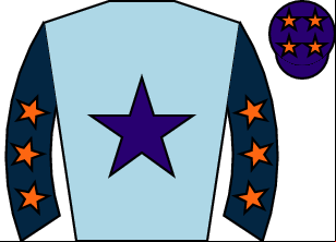 Horse silk