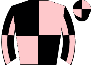 Horse silk
