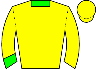 Horse silk