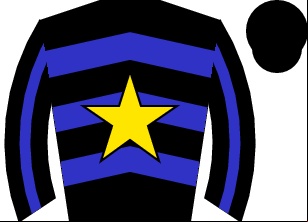 Horse silk