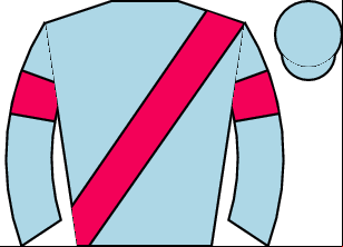 Horse silk