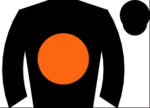 Horse silk