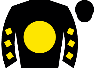 Horse silk