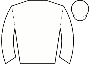 Horse silk