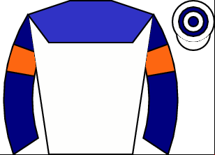 Horse silk
