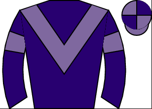 Horse silk