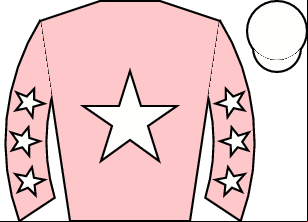 Horse silk