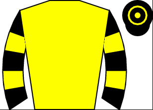 Horse silk
