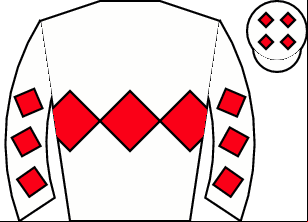 Horse silk
