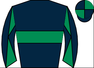 Horse silk