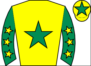 Horse silk
