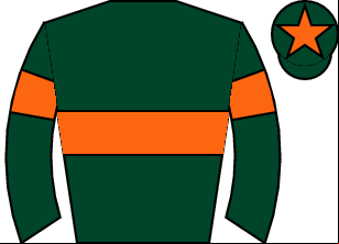 Horse silk