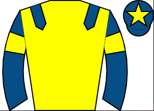 Horse silk