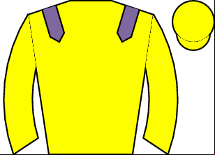 Horse silk