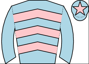 Horse silk