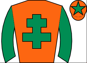 Horse silk