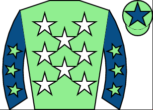 Horse silk