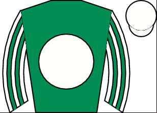 Horse silk