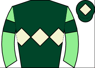 Horse silk