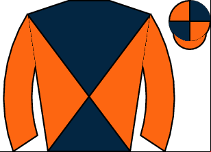 Horse silk