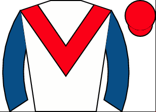 Horse silk