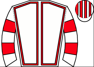 Horse silk