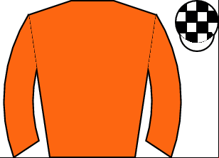 Horse silk