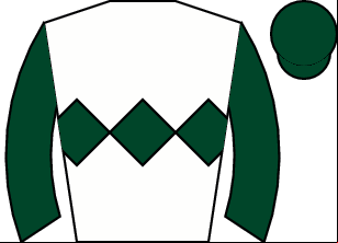 Horse silk