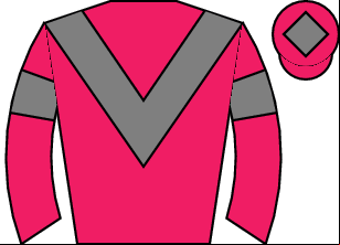 Horse silk
