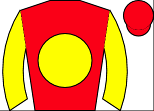 Horse silk