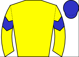 Horse silk