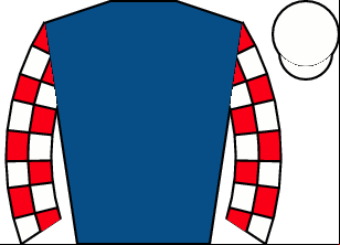Horse silk