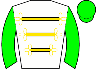 Horse silk