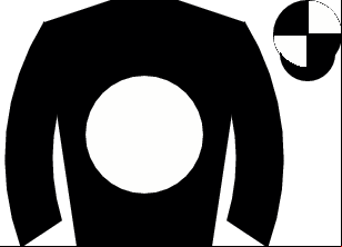 Horse silk