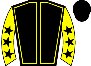 Horse silk
