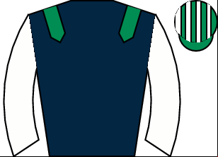 Horse silk