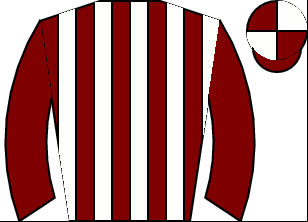 Horse silk