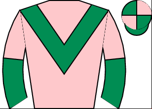 Horse silk